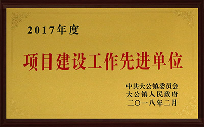 2017項(xiàng)目建設(shè)先進(jìn)單位.jpg